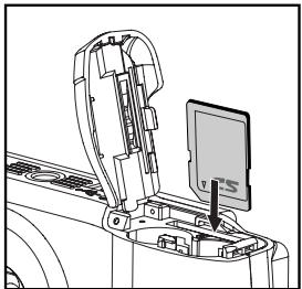 FERRANIA SD-825 - Préparation - 3