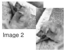 FERRANIA SD-V615 - Retoucher les images - 2