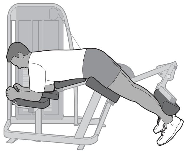 CYBEX INTERNATIONAL 11140_PRONE LEG CURL - Instructions - 2