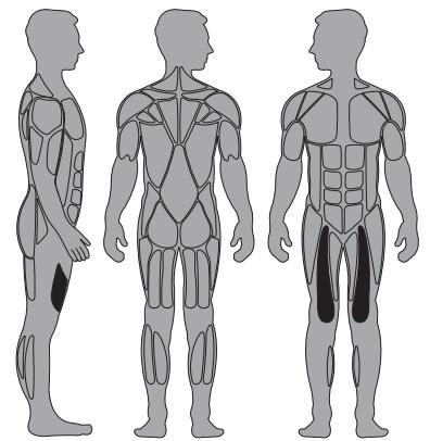 CYBEX INTERNATIONAL 13050 LEG EXTENSION - Instructions - 1