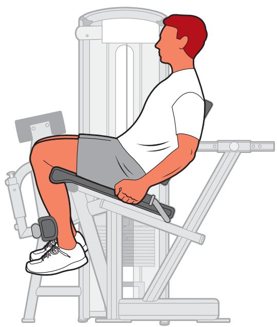 CYBEX INTERNATIONAL 13050 LEG EXTENSION - Instructions - 2