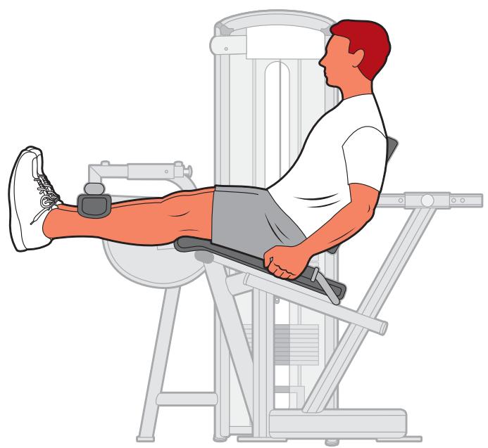 CYBEX INTERNATIONAL 13050 LEG EXTENSION - Instructions - 3