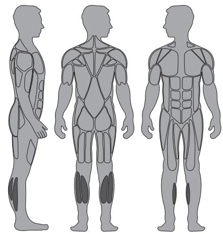 CYBEX INTERNATIONAL 13120 STANDING CALF - Instructions - 1