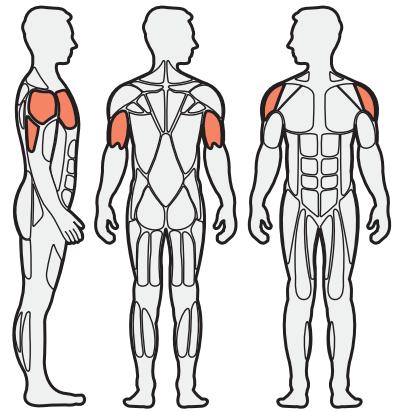CYBEX INTERNATIONAL 16101 OVERHEAD PRESS - Instructions - 1