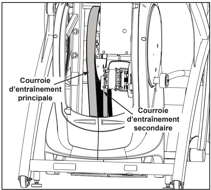 CYBEX INTERNATIONAL 750A-750AT ARC - Courroies d'entrainment - 1