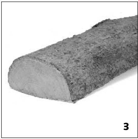 STUV 20 - Le chêne (4) - 1