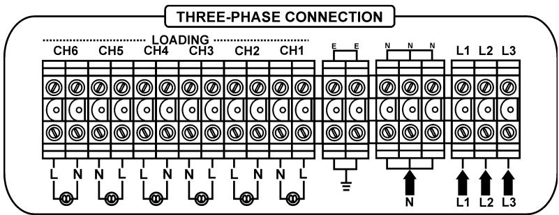 BEGLEC DSP-6 - CONEXIONES - 4