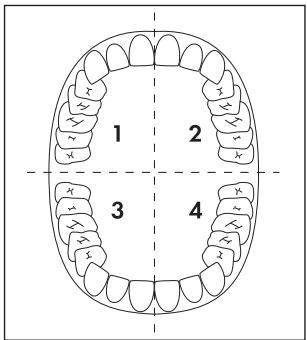 DENTALUX DRZ 3.0 A1 - 品 Remarque - 1