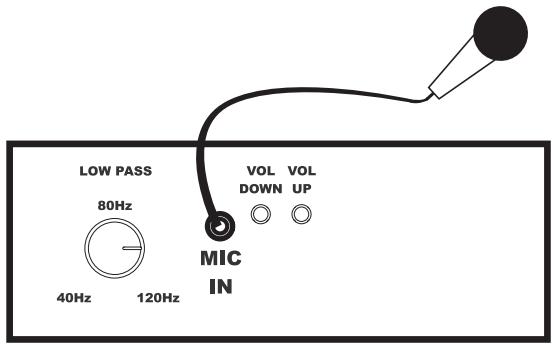 POLK AUDIO DSW MICROPRO 2000 - CORREÇÃO DA RESSONÂNCIA AMBIENTE DO AUTOPRO (somente DSW2000/3000/4000) - 1