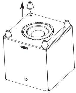 POLK AUDIO DSW PRO 600 - Feet/Carpet Spikes - 2