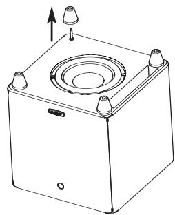 POLK AUDIO DSW PRO 600 - Patas y pácas de alfombra - 2