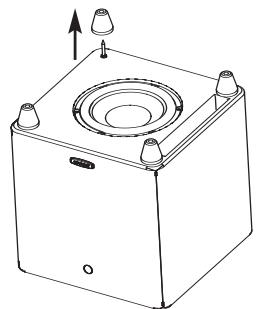 POLK AUDIO DSW PRO 600 - Pieds/Picots à Tapis - 2