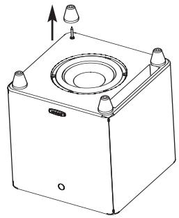 POLK AUDIO DSW PRO 600 - Pés/Espigôes Para Pisos Acarpetados - 2