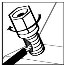 POLK AUDIO DSW PRO 600 - Ligação dos Cabos das Caixas Acústicas aos Terminais de Conexão - 2