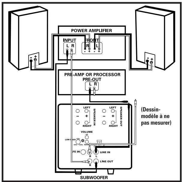 POLK AUDIO DSW PRO 600 - Connexions des Câbles de Haut-Parleur - 4