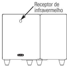 POLK AUDIO DSW PRO 600 - AJUSTE PRECISO DO SUBWOOFER - 1