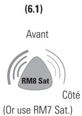 POLK AUDIO RM96 6-PAK - Ambio. Arrière Gauche - 2