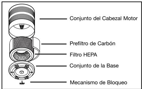 KAZ 10590 - Descripción - 1