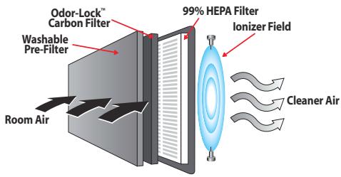 KAZ 16200 - HOW YOUR AIR PURIFIER WORKS: - 1