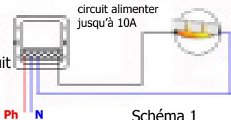 EDOBE XDOM RMA - Câblage pour l'alimentation générale - 4