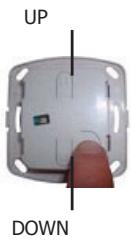 EDOBE XDOM RMV - Para sua informação: - 1