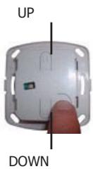 EDOBE XDOM RMV - Informazioni : - 1