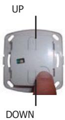 EDOBE XDOM RMV - Zu Ihrer Information: - 1