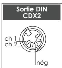 NAIM1 CDS3 - Face arrête - 2