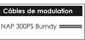 NAIM1 NA-C 282 - Raccordements entre le NAP 300 et le NAP 300PS - 5