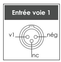 NAIM1 NA-C 282 - Raccordements entre le NAP 300 et le NAP 300PS - 2