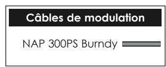 NAIM1 NA-C 552 - Raccordements entre le NAP 300 et le NAP 300PS - 5