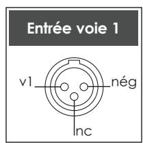 NAIM1 NA-C 552 - Raccordements entre le NAP 300 et le NAP 300PS - 2