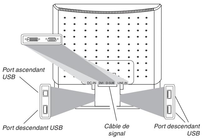BELINEA 101720 - Pour raccorder le moniteur à votre PC........ - 1