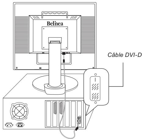 BELINEA 101910 - RACCORDEMENT - 2