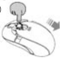 DICOTA BLUESTAR - Hold - 1