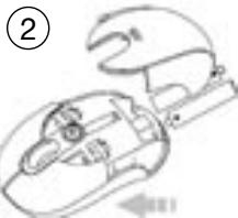 DICOTA BLUESTAR - Hold - 2