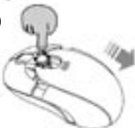 DICOTA BLUESTAR - Hold - 1