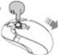 DICOTA BLUESTAR - Hold - 1