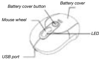 DICOTA BLUESTAR - Introduction - 1