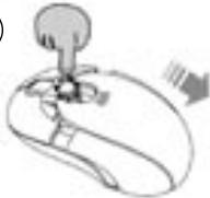 DICOTA BLUESTAR - Hold - 1