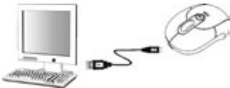 DICOTA BLUESTAR - Formade cargar - 1