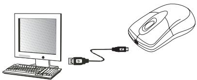 DICOTA PHASOR - Recharging: - 1