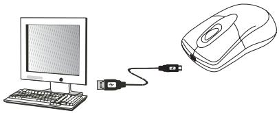 DICOTA PHASOR - Carciamento: - 1
