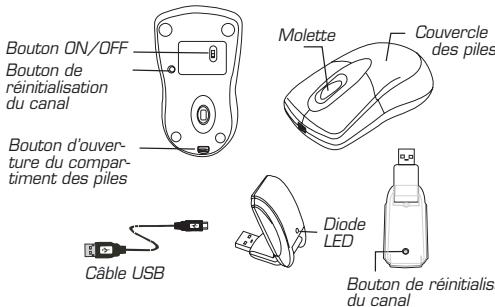 DICOTA PHASOR - Présentation des fonctions - 1