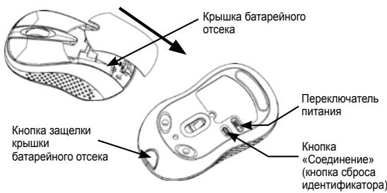 DICOTA BLUELIGHT - Uar 1: YctaHOBka 6aTapei - 1