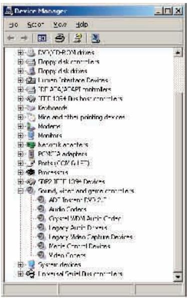 ADS TECH INSTANT DVD + DV - WinXP, Win2000: - 1