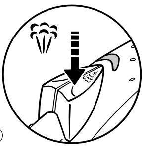 T-FAL 1816 - Repasser verticalement (selon modèles) - 2