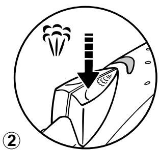 T-FAL 1816 - Vertical steam (depending on the model) - 2
