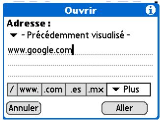 PALMONE ZIRE 72 - Accès à une page Web - 5