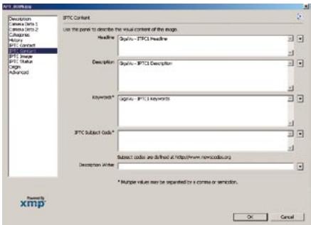 JOBO GIGA VU EXTREME - Photoshop - 4